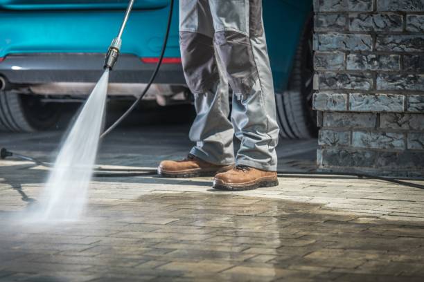 Best Dumpster Area Cleaning  in Argos, IN