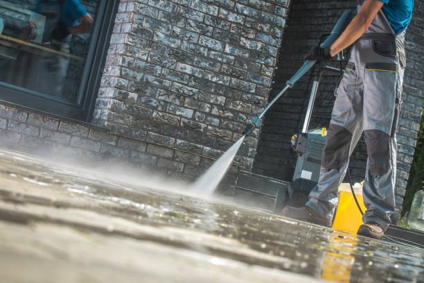 Best Roof Washing  in Argos, IN